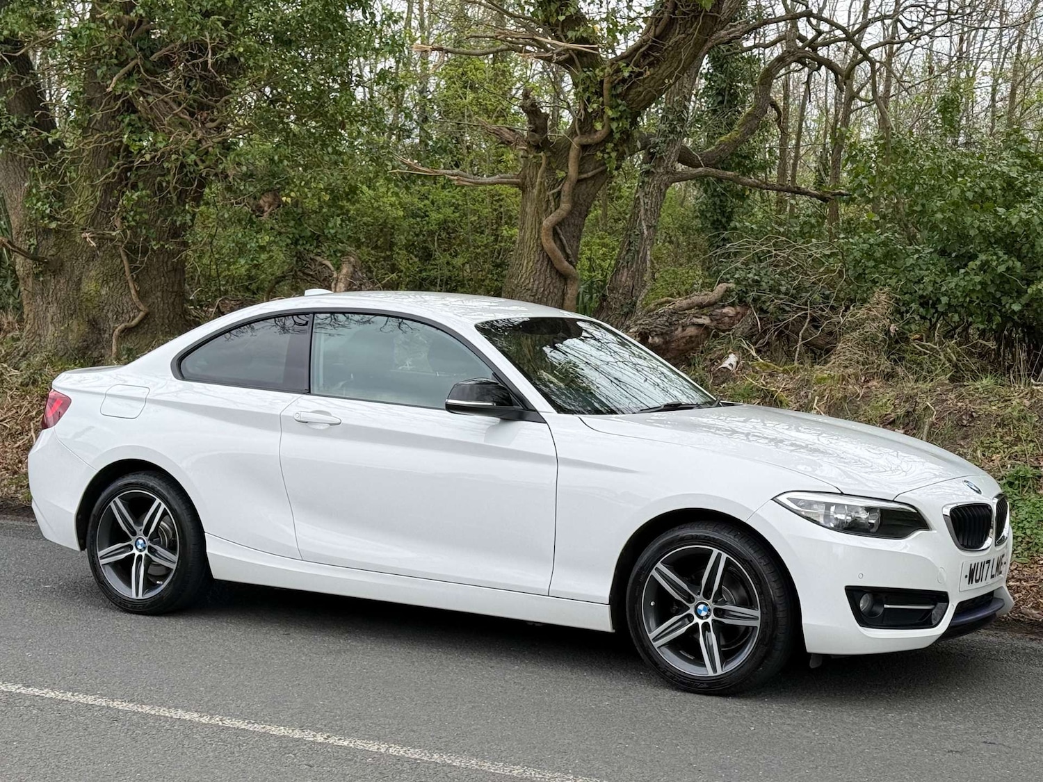 Used BMW 2 Series 2017 for sale - 78108379: Photo 8