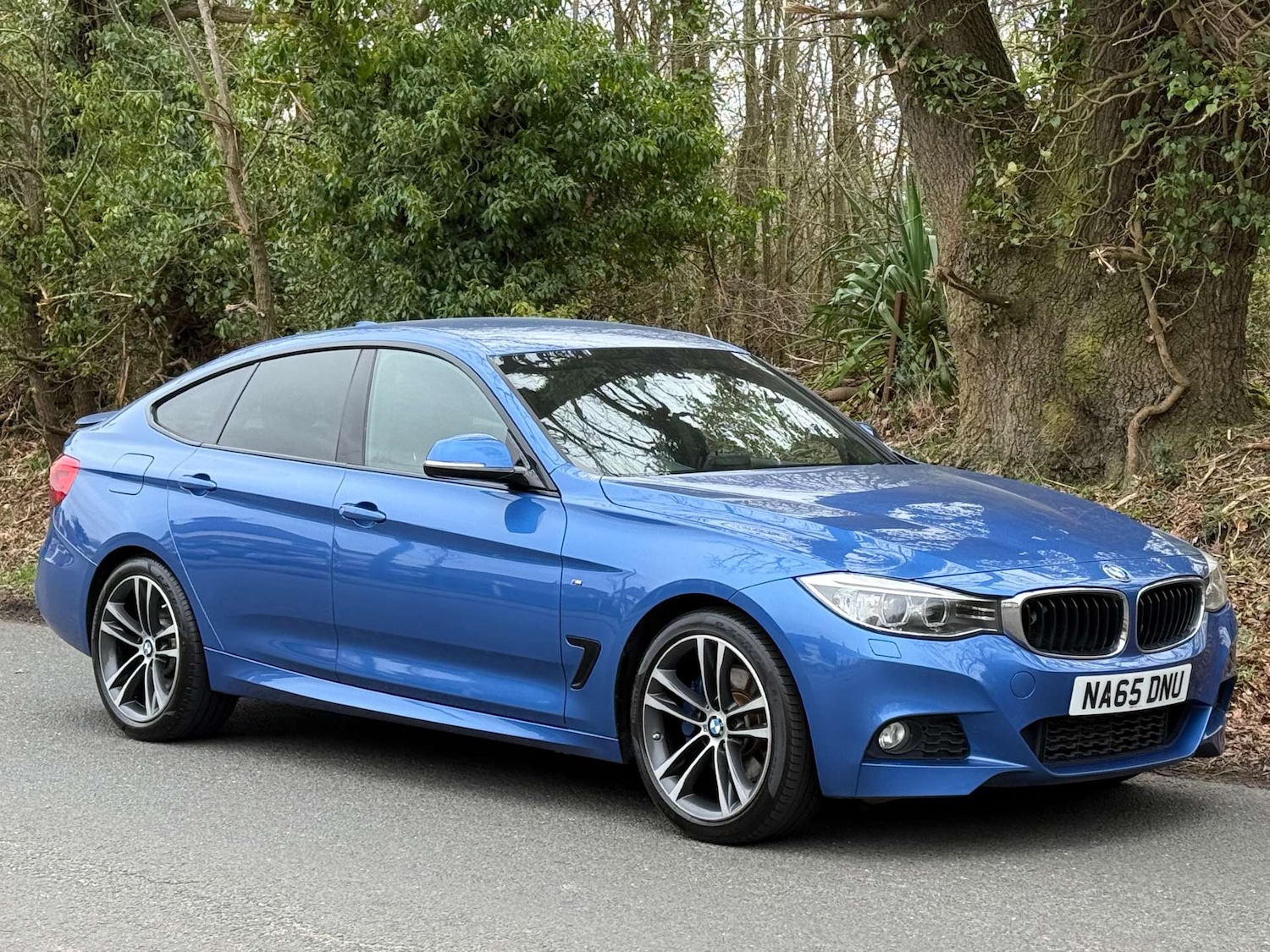 Used BMW 3 Series 2015 for sale - 77850690: Photo 10