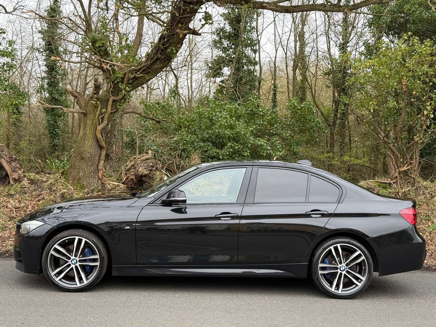 Used BMW 3 Series 2018 for sale - 77916449: Photo 14