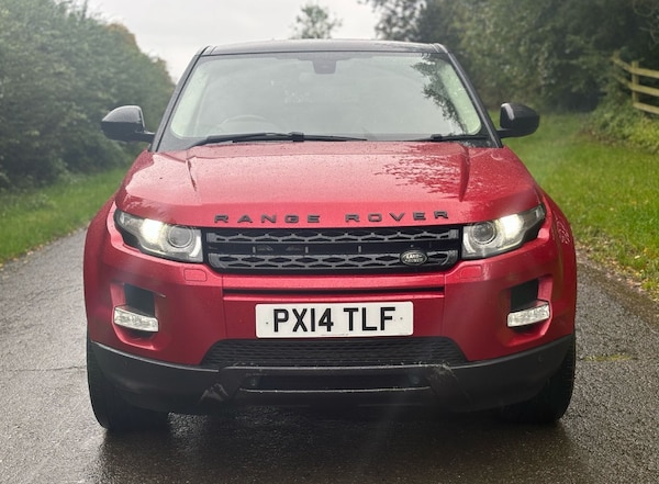 Used Land Rover Range Rover Evoque 2014 for sale - 75453914: Photo 12