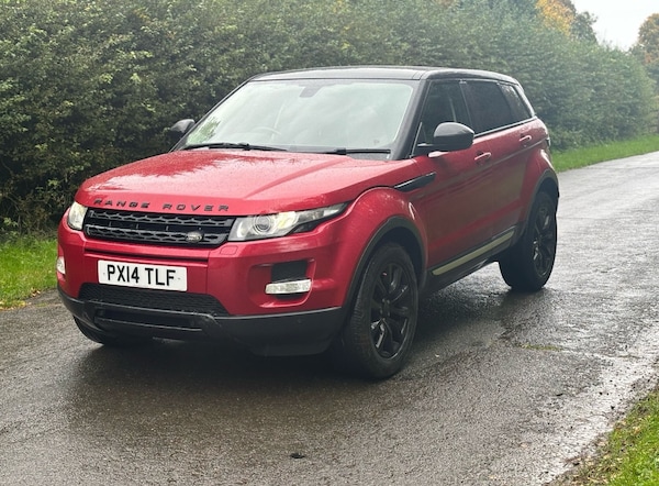 Used Land Rover Range Rover Evoque 2014 for sale - 75453914: Photo 2
