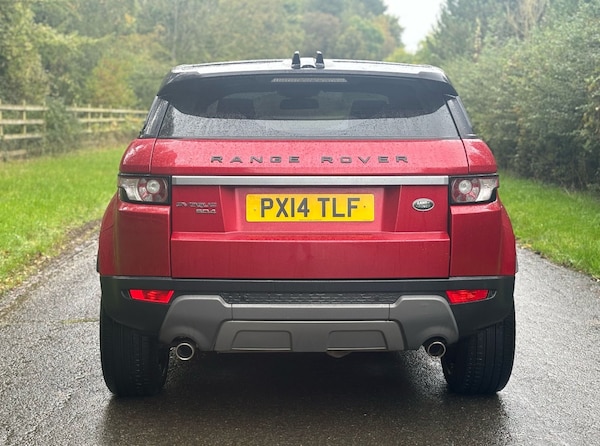 Used Land Rover Range Rover Evoque 2014 for sale - 75453914: Photo 6