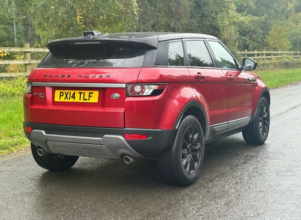 Used Land Rover Range Rover Evoque 2014 for sale - 75453914: Photo 7