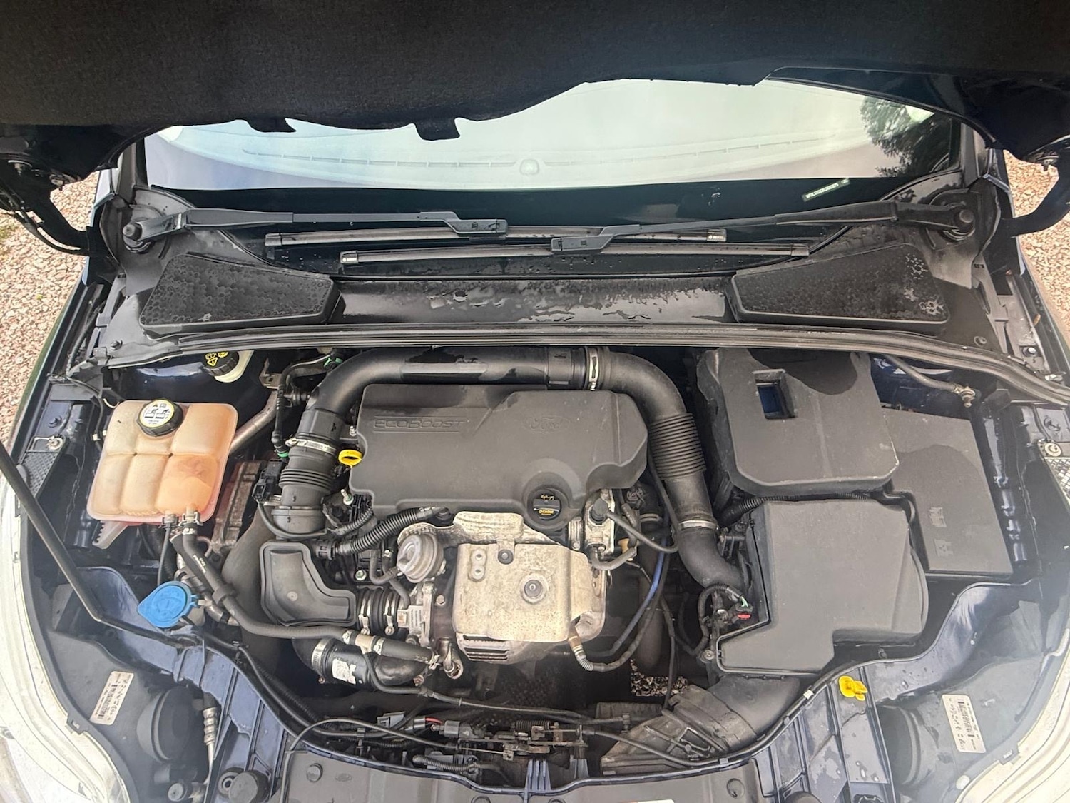 Used Ford Focus 2013 for sale - 76483129: Photo 19