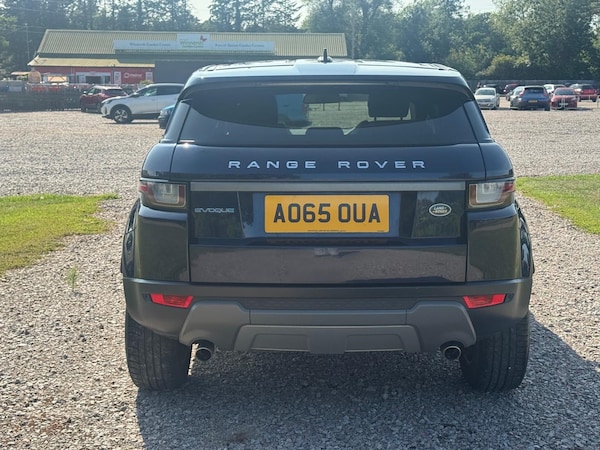 Used Land Rover Range Rover Evoque 2015 for sale - 75527308: Photo 4