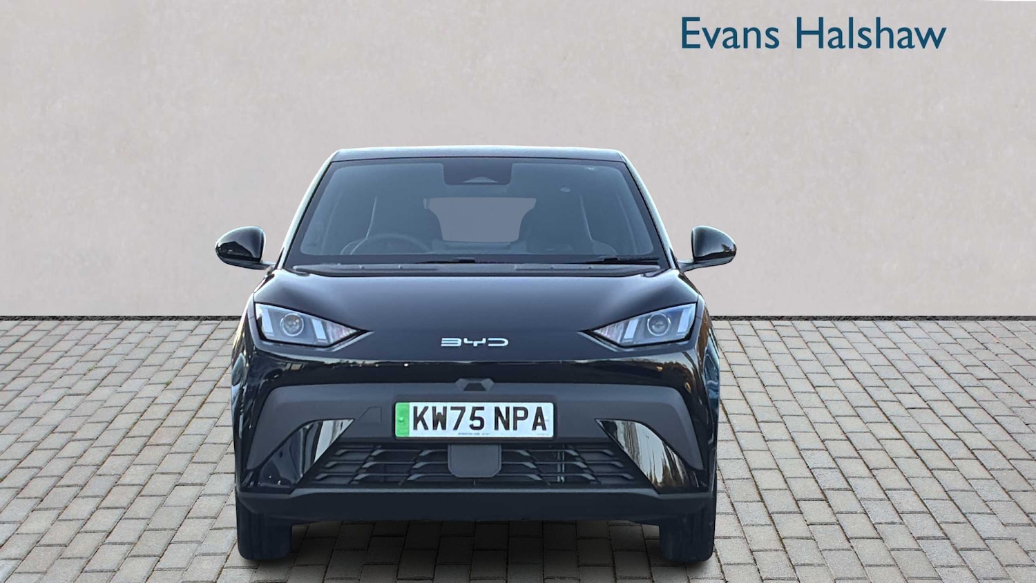 Used BYD Dolphin for sale - 77862118: Photo 4