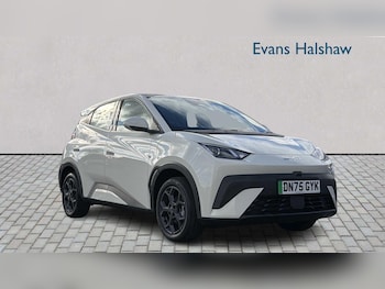 BYD Dolphin feature image