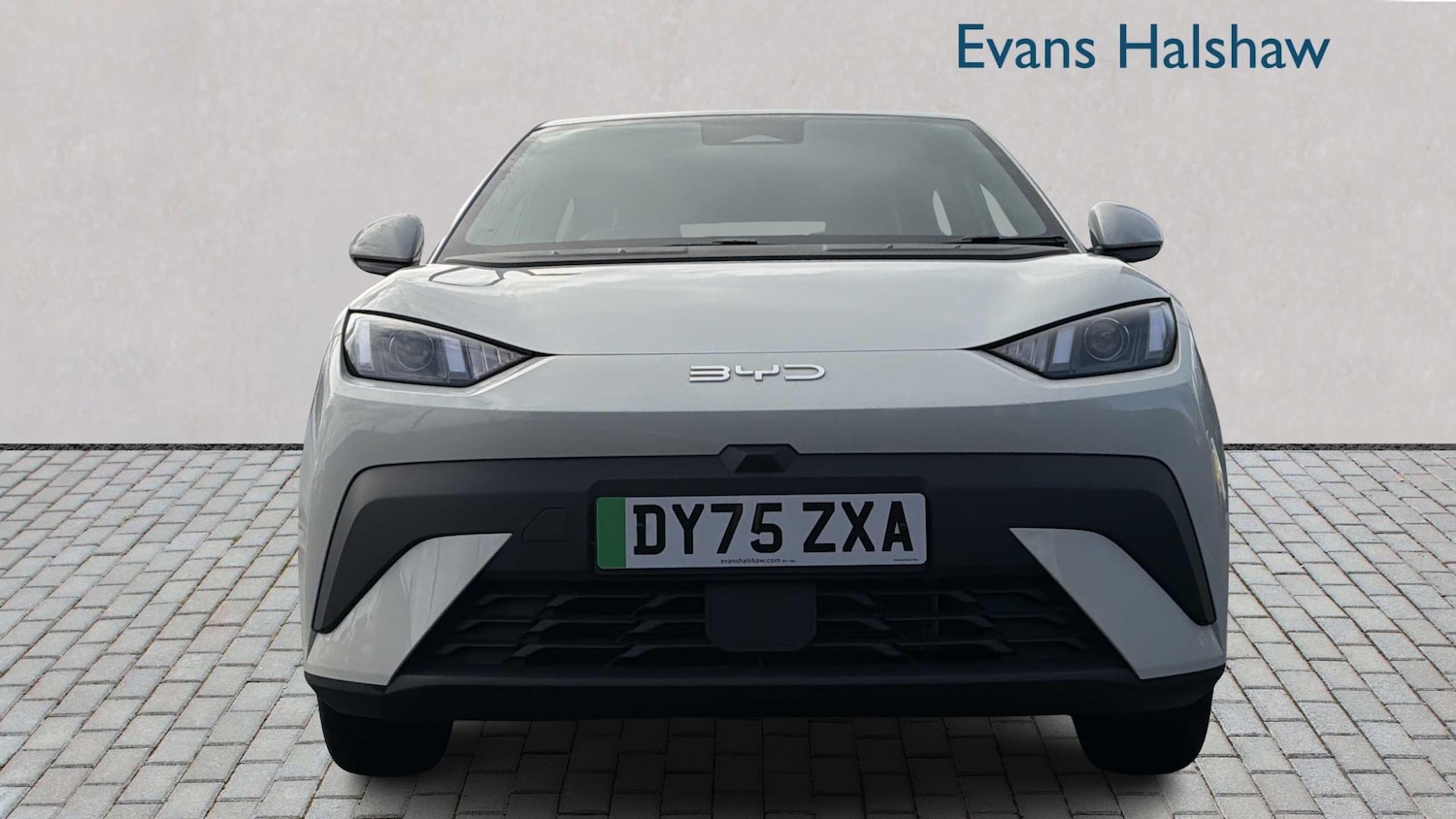 Used BYD Dolphin 2025 for sale - 77856392: Photo 4