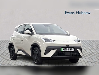 BYD Dolphin feature image