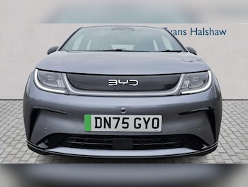 Used BYD Dolphin 2025 for sale - 77856592: Photo