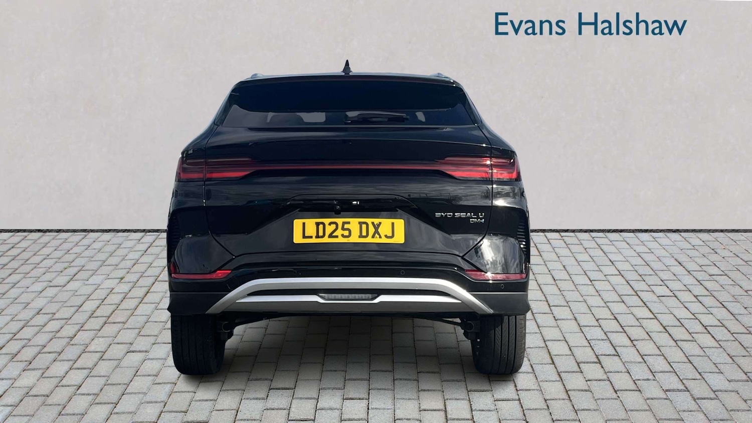 Used BYD Seal U for sale - 77858508: Photo 5