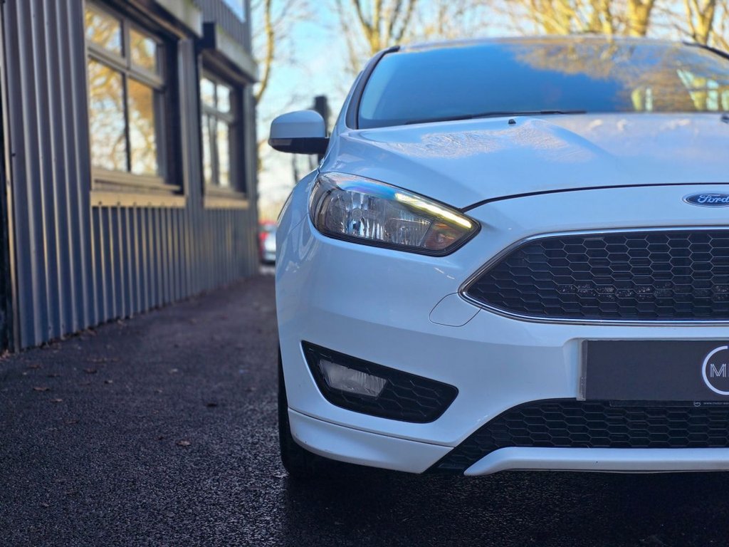 Used Ford Focus 2016 for sale - 77236348: Photo 11