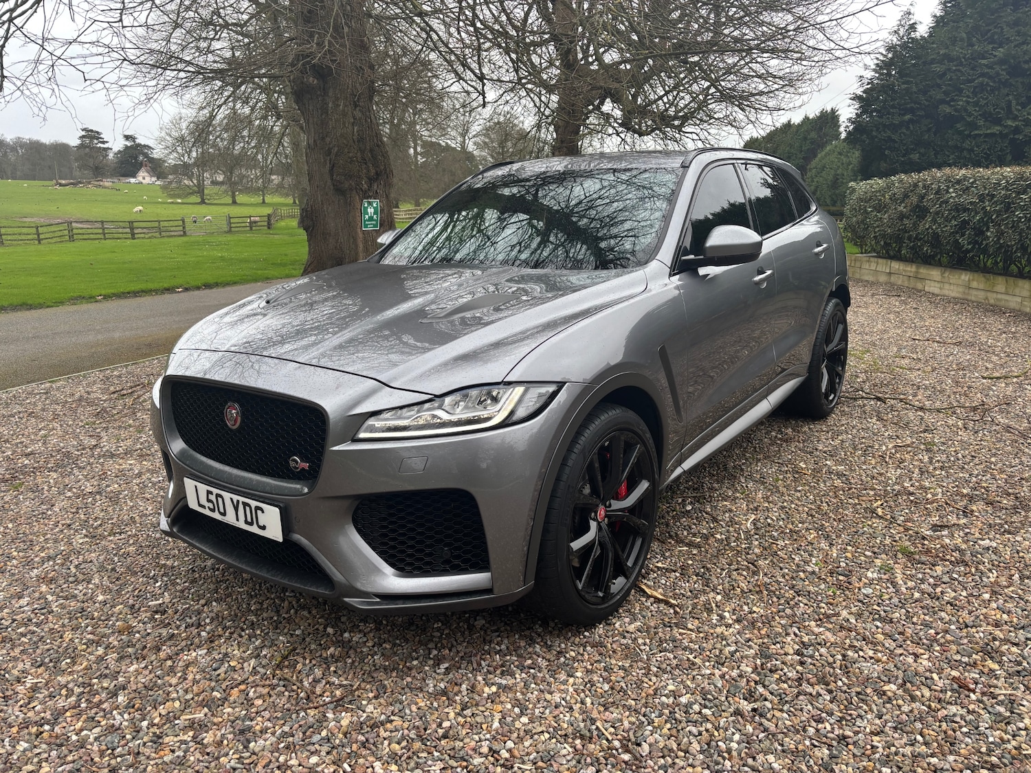 Used Jaguar F-Pace 2019 for sale - 77902782: Photo 3