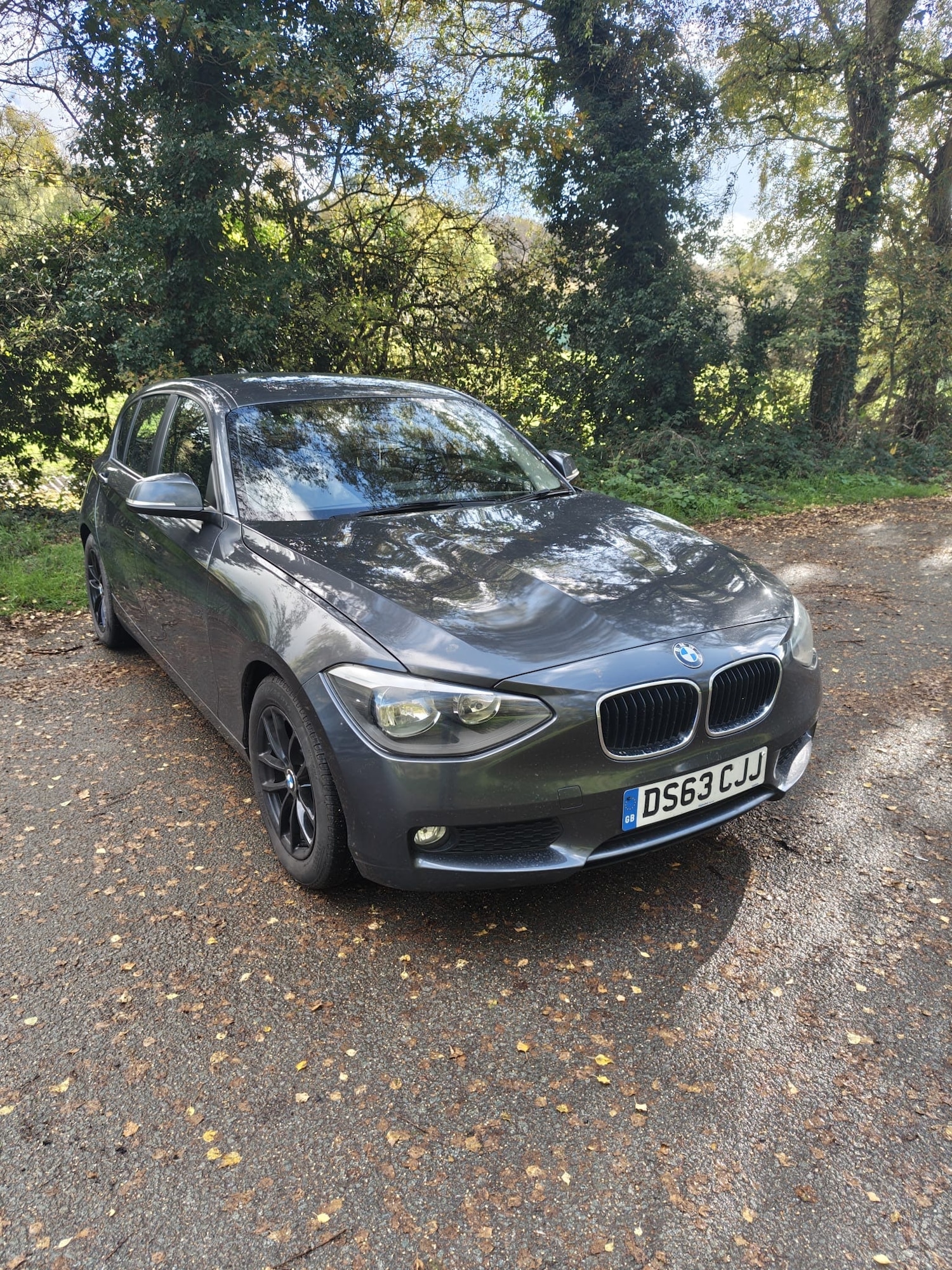 Used BMW 1 Series 2013 for sale - 77208589: Photo 21