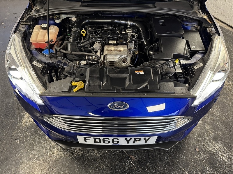 Used Ford Focus 2016 for sale - 76821280: Photo 11