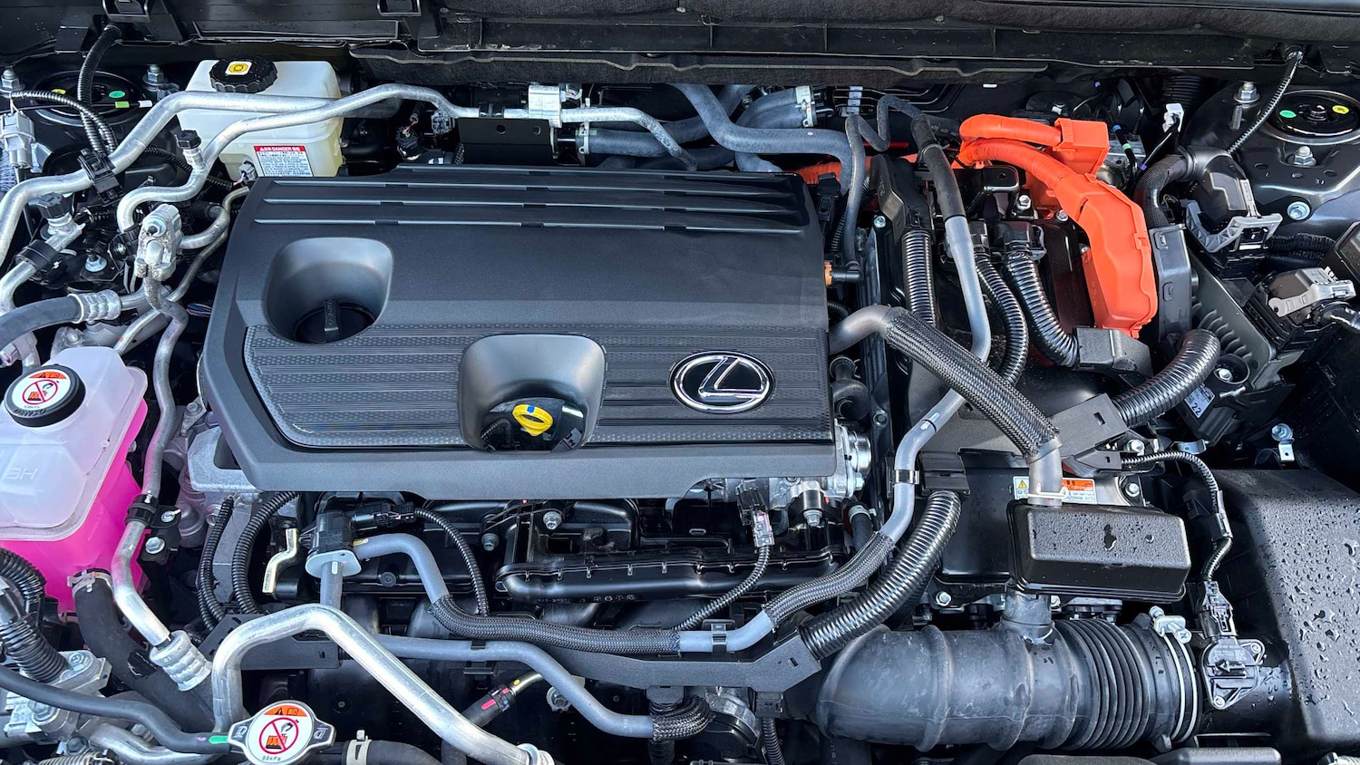 Used Lexus NX 2025 for sale - 77011058: Photo 15