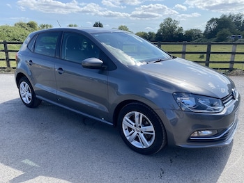Used Volkswagen Polo 2016 for sale - 79090629: Photo