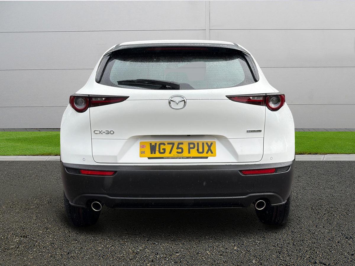 Used Mazda CX-30 2025 for sale - 77002362: Photo 6