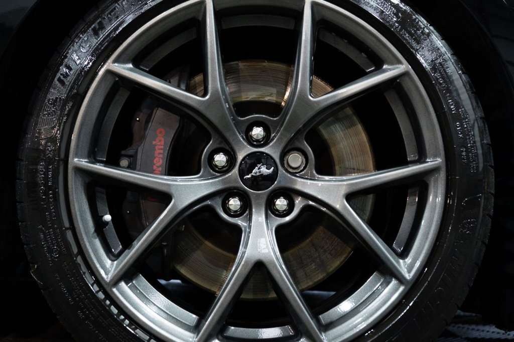 Used Ford Mustang 2023 for sale - 77422515: Photo 11