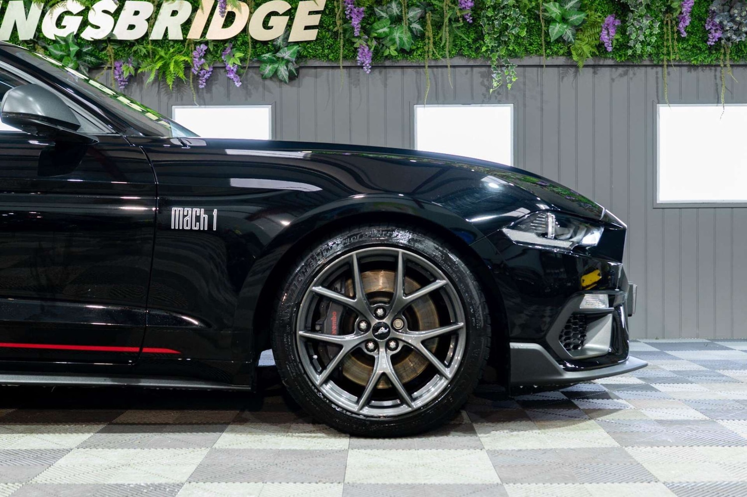 Used Ford Mustang 2023 for sale - 77460253: Photo 7