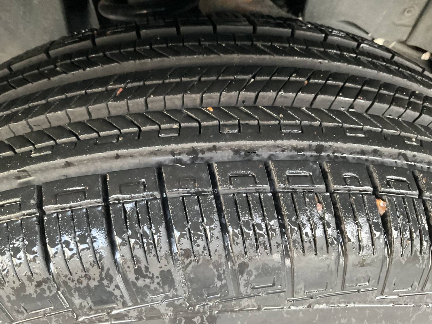 Used Ford Ranger 2024 for sale - 77270611: Photo 11