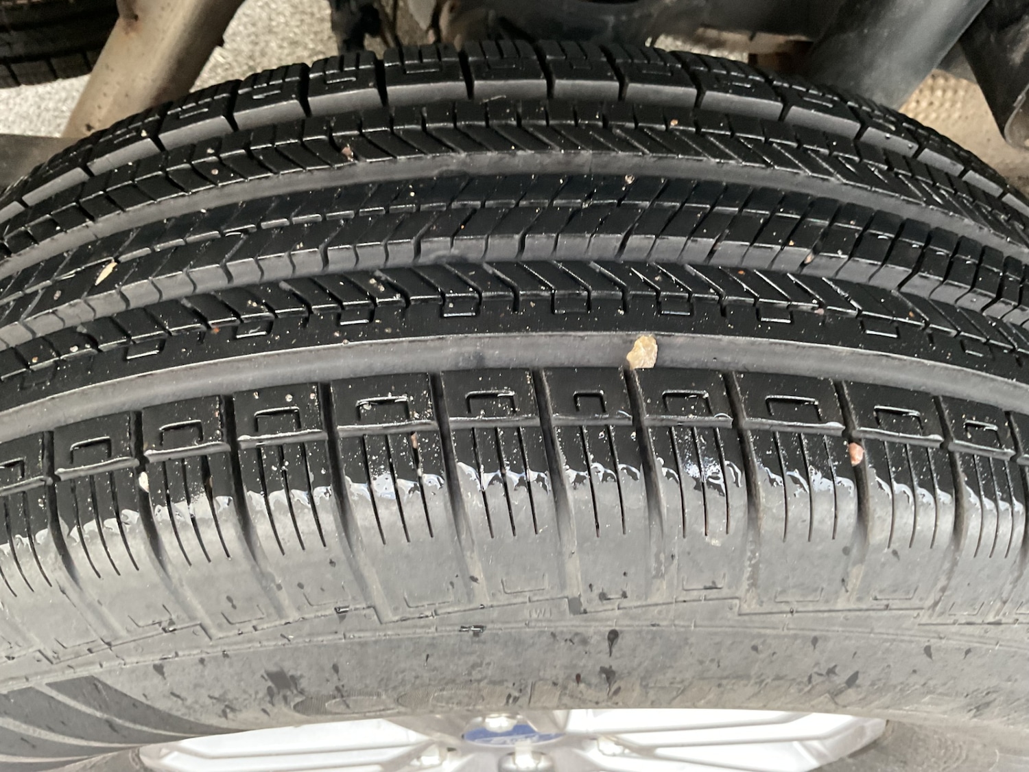 Used Ford Ranger 2024 for sale - 77270611: Photo 9