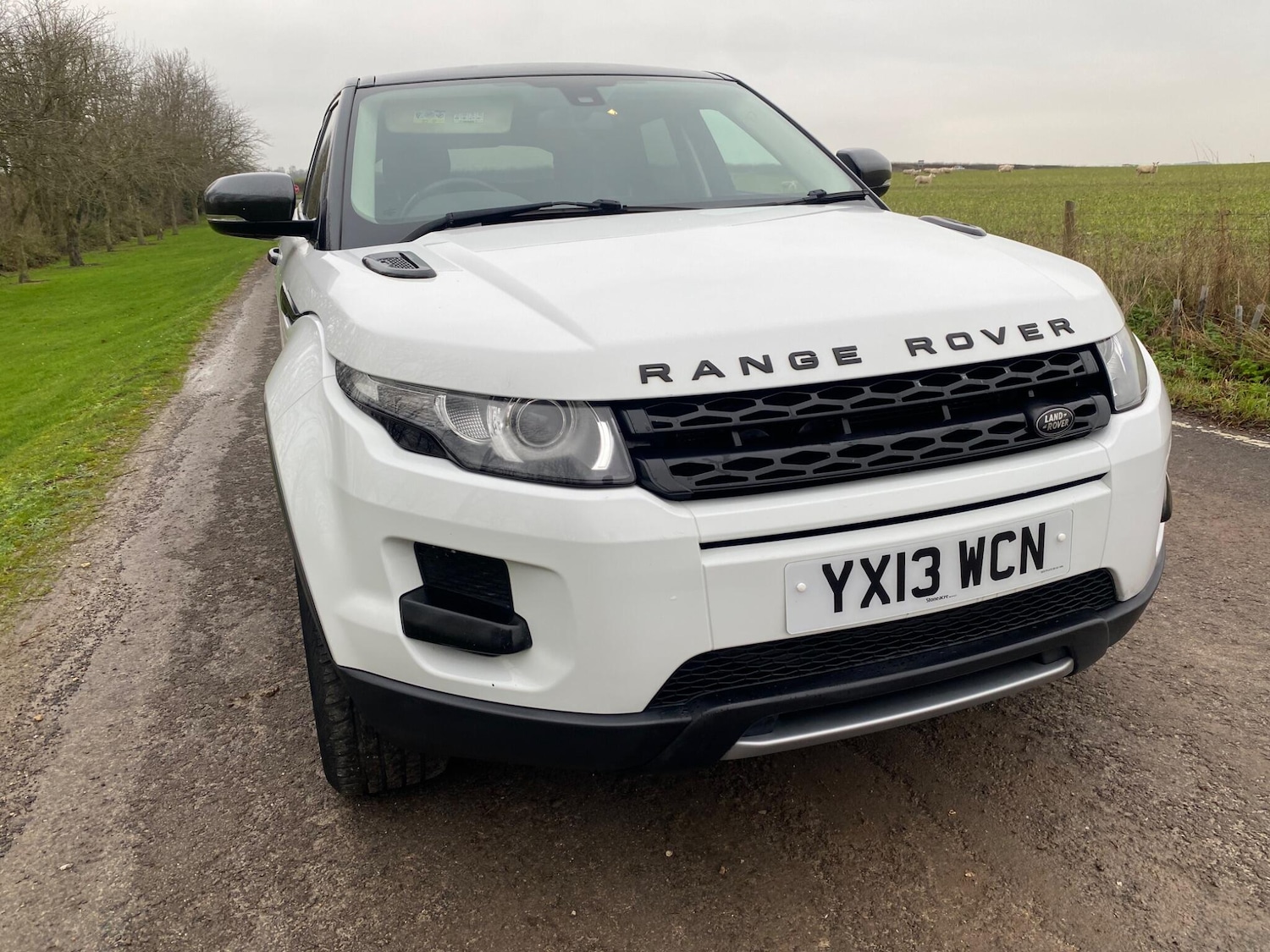 Used Land Rover Range Rover Evoque 2013 for sale - 77253729: Photo 2