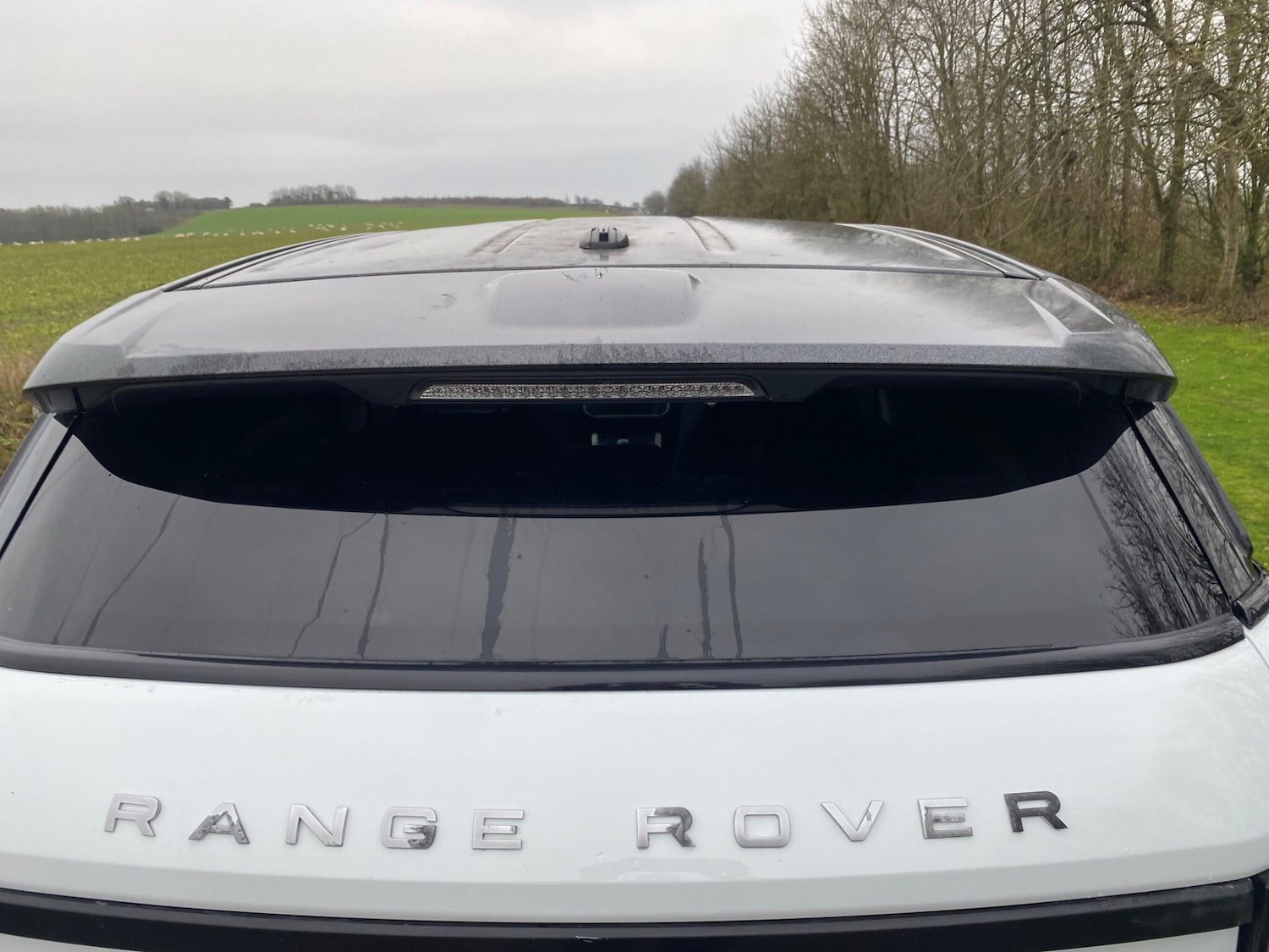 Used Land Rover Range Rover Evoque 2013 for sale - 77253729: Photo 21