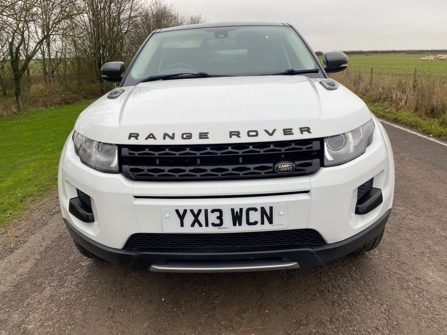 Used Land Rover Range Rover Evoque 2013 for sale - 77253729: Photo 4