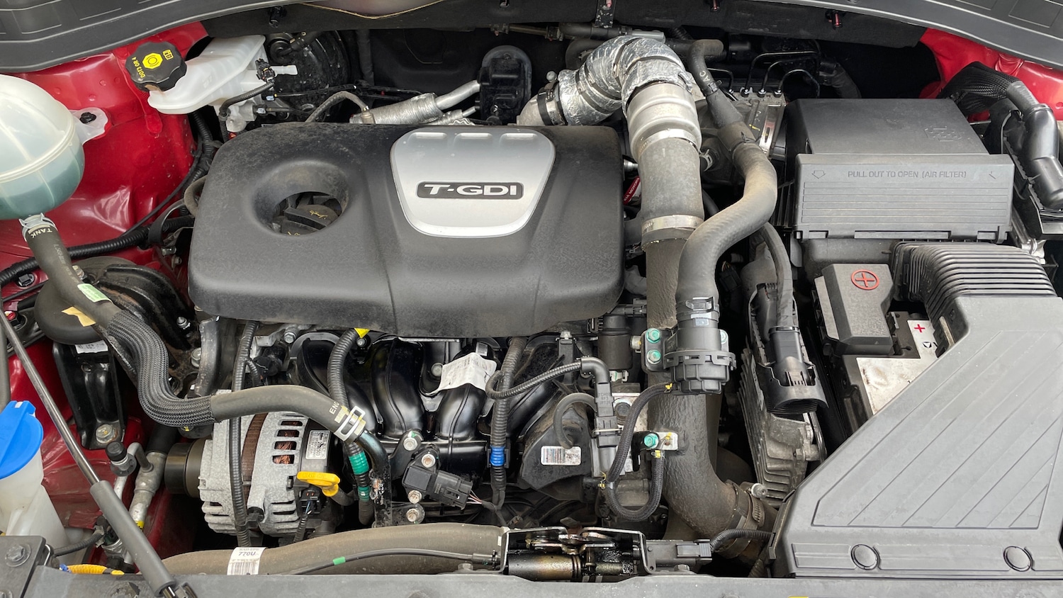 Used Kia Sportage 2019 for sale - 76334919: Photo 16