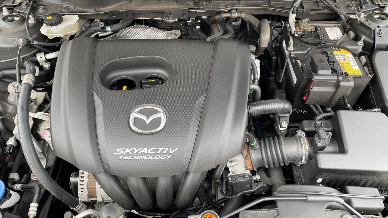 Used Mazda Mazda2 for sale - 77807262: Photo 16