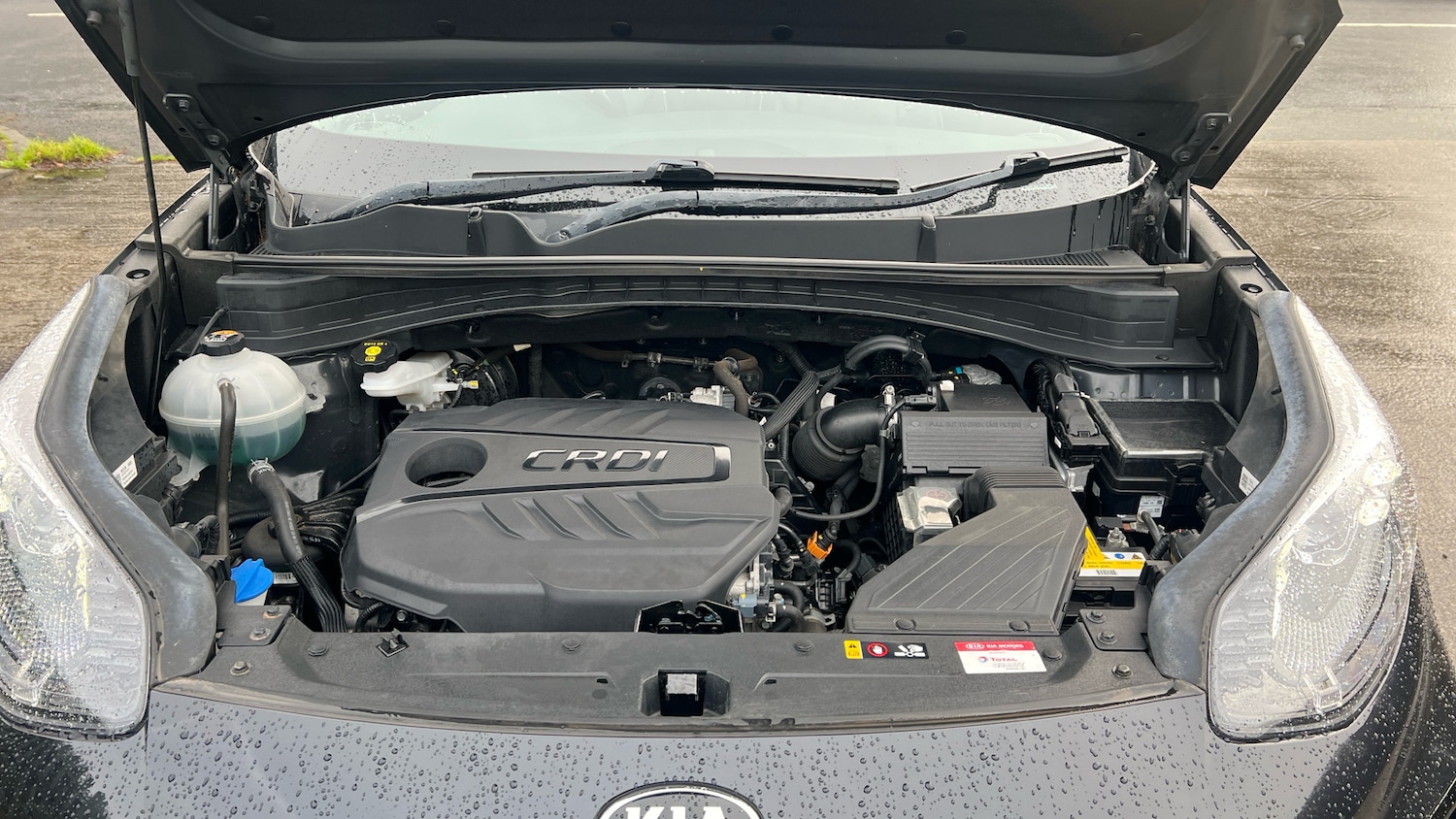 Used Kia Sportage 2019 for sale - 77535803: Photo 8