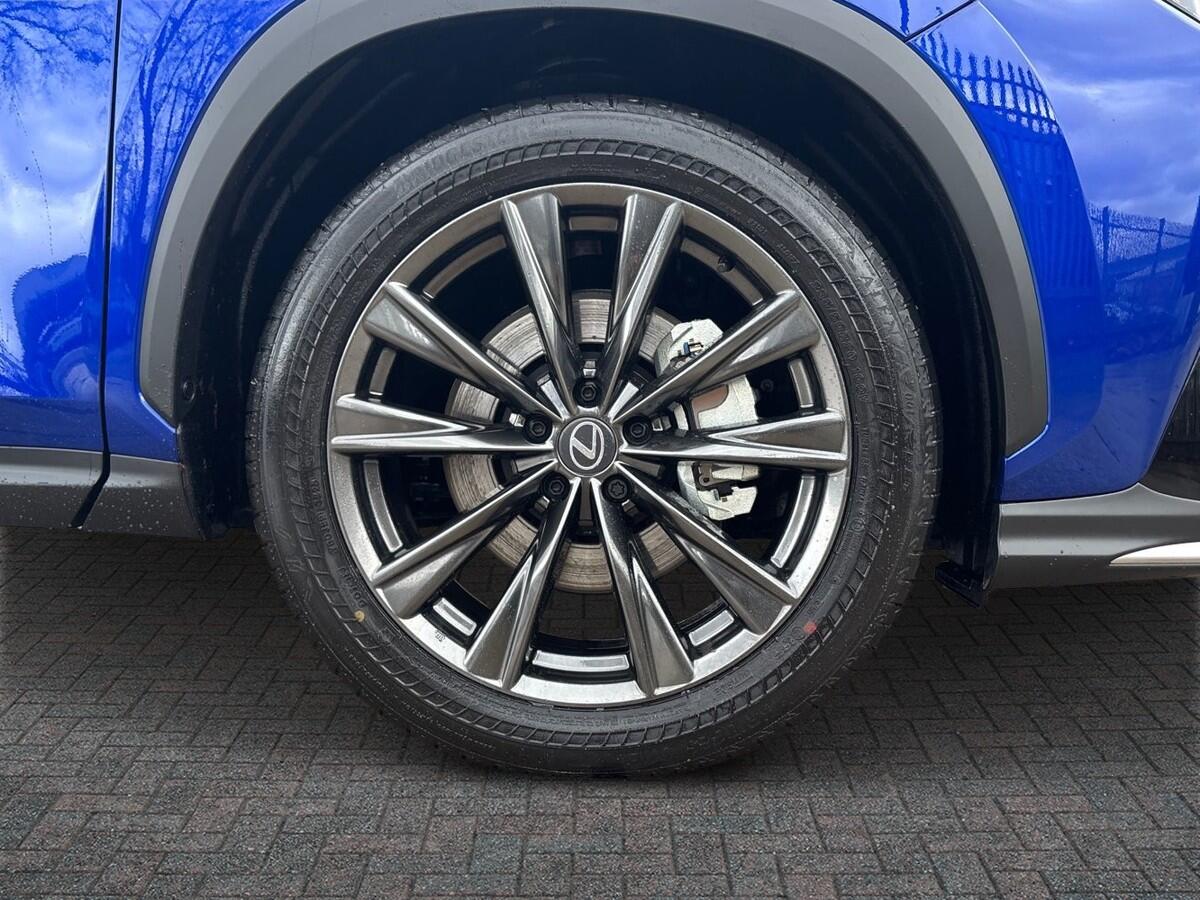 Used Lexus NX 2025 for sale - 77176777: Photo 6