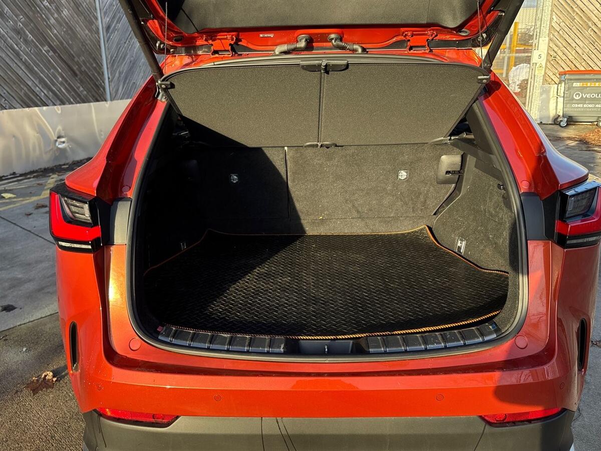 Used Lexus NX 2023 for sale - 77132739: Photo 10