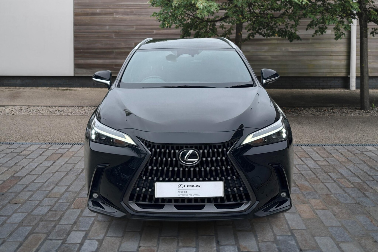 Used Lexus NX 2023 for sale - 77176602: Photo 7