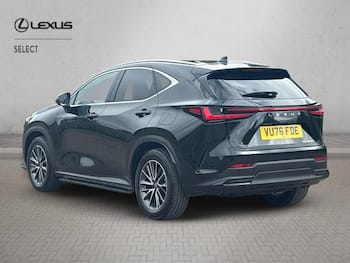 Used Lexus NX 2026 for sale - 79832071: Photo