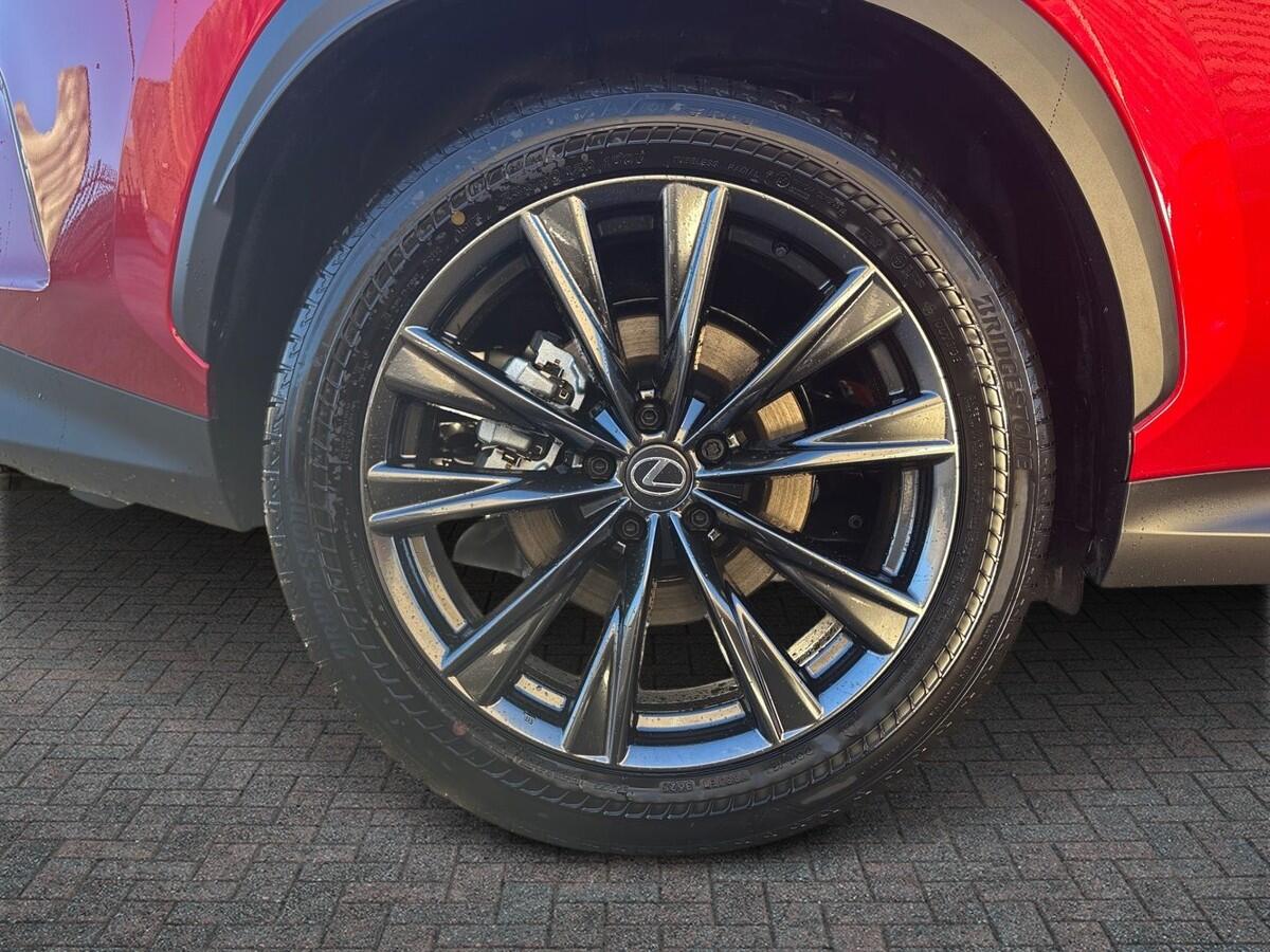 Used Lexus NX 2025 for sale - 77124670: Photo 6