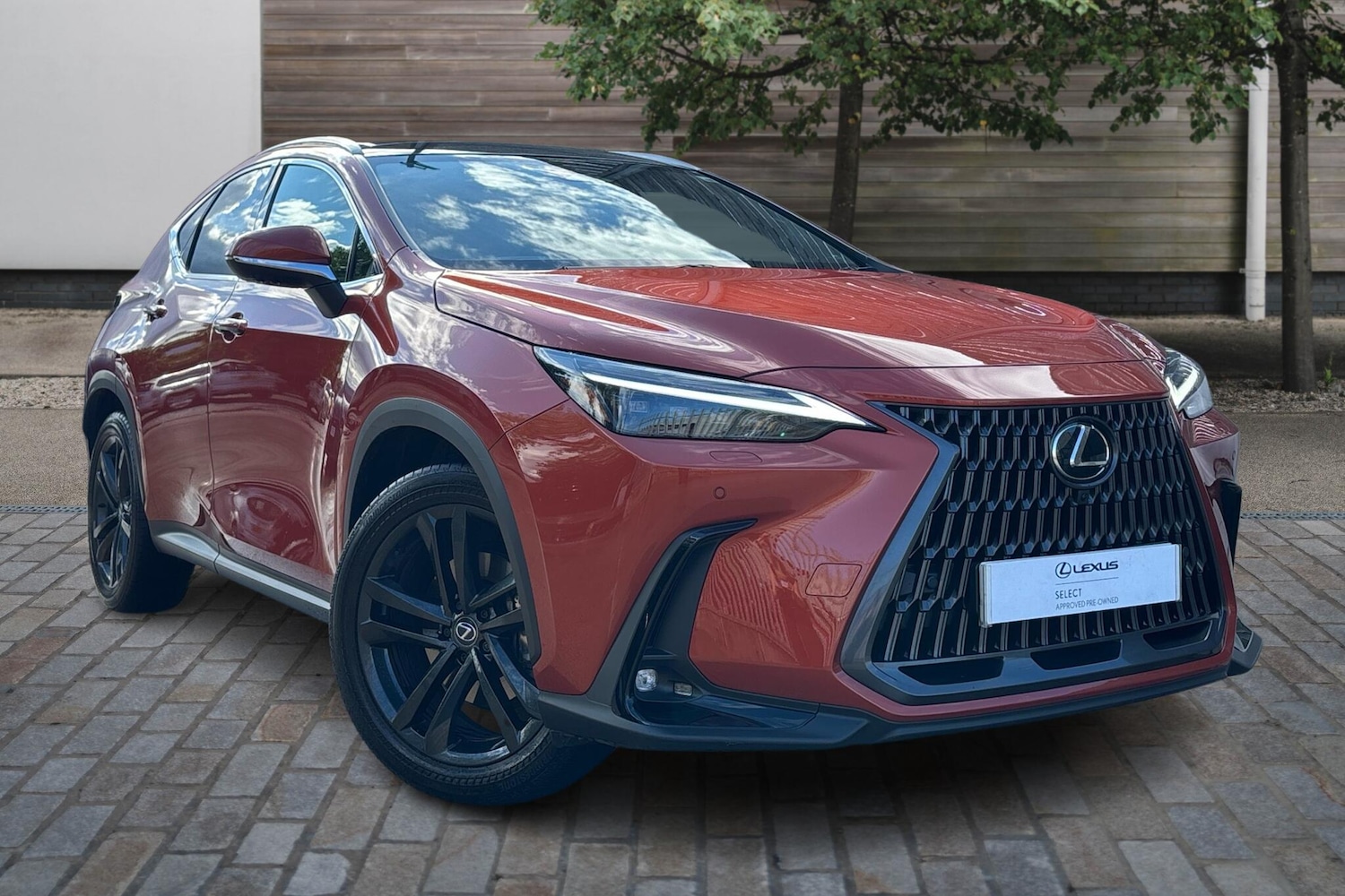 Used Lexus NX 2024 for sale - 76111352: Photo 1