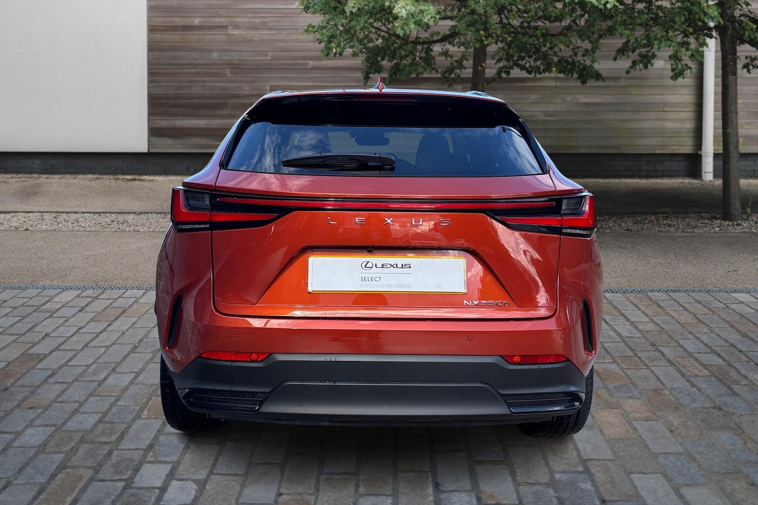 Used Lexus NX 2024 for sale - 76111352: Photo 10