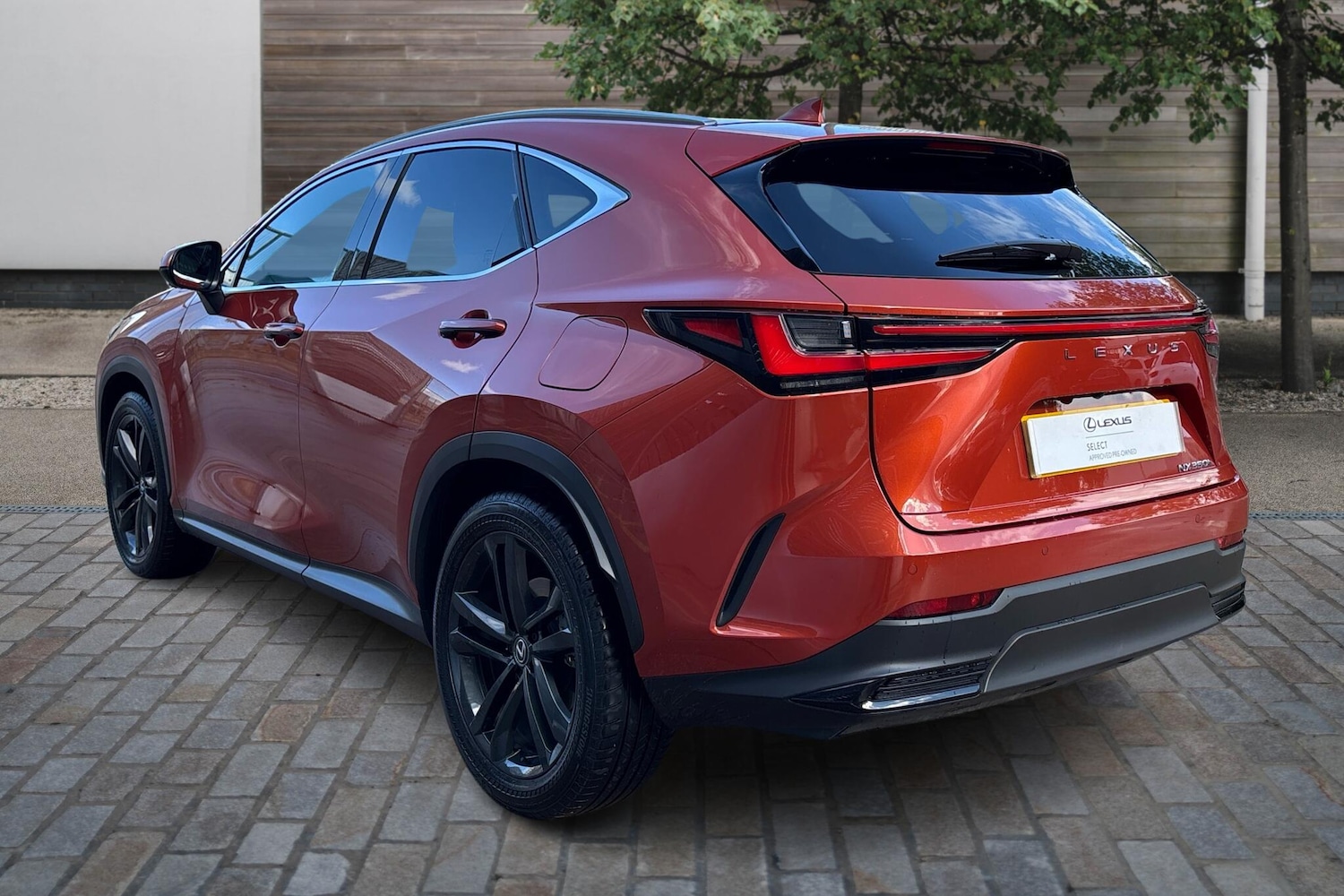 Used Lexus NX 2024 for sale - 76111352: Photo 3