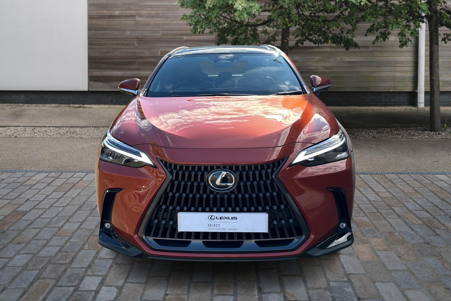 Used Lexus NX 2024 for sale - 76111352: Photo 7