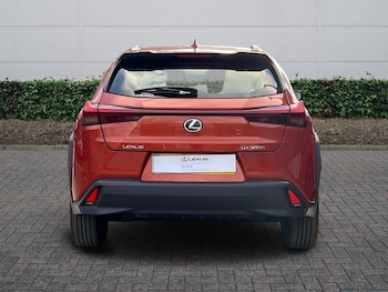 Used Lexus UX 2024 for sale - 77755076: Photo