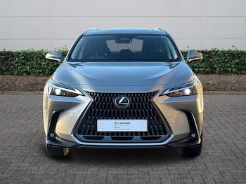 Used Lexus NX 2023 for sale - 76703537: Photo