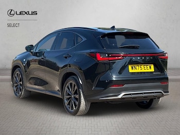 Used Lexus NX 2025 for sale - 79534341: Photo
