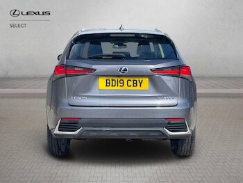 Used Lexus NX 2019 for sale - 78049049: Photo