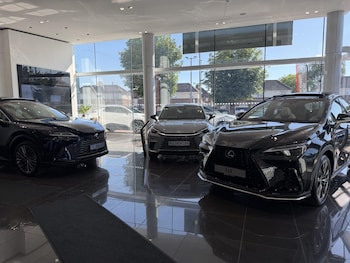Used Lexus NX 2020 for sale - 79108211: Photo