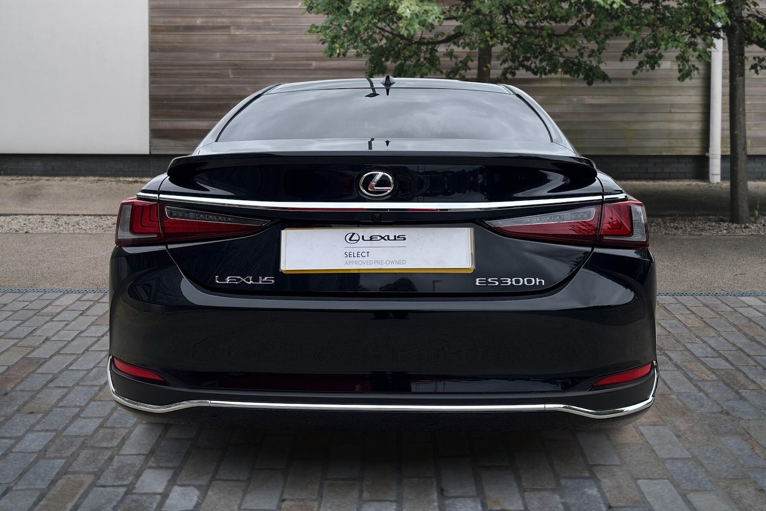 Used Lexus ES 2025 for sale - 76111342: Photo 10