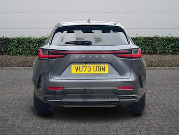 Used Lexus NX 2023 for sale - 77959355: Photo