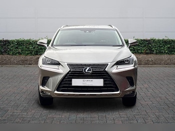 Used Lexus NX 2019 for sale - 76800589: Photo