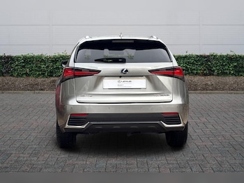 Used Lexus NX 2019 for sale - 76800589: Photo